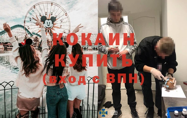 дживик Дмитровск