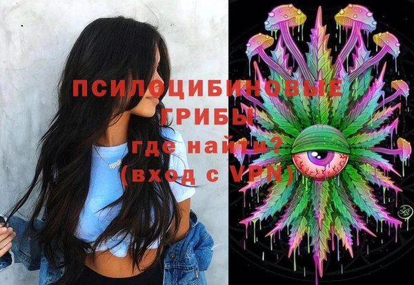 PSILOCYBIN Елабуга
