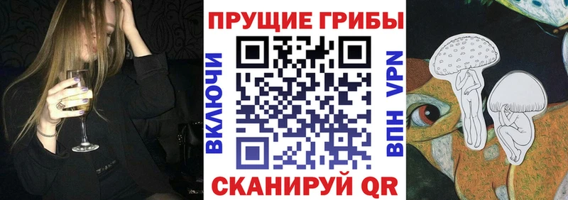 Купить  Торжок  Галлюциногенные грибы Cubensis 